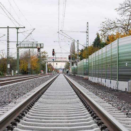 Riedbahn