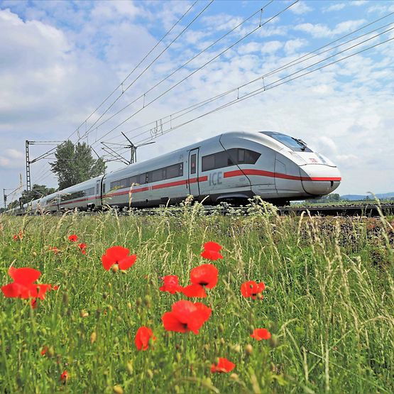 ICE 4 vor Mohnblumen