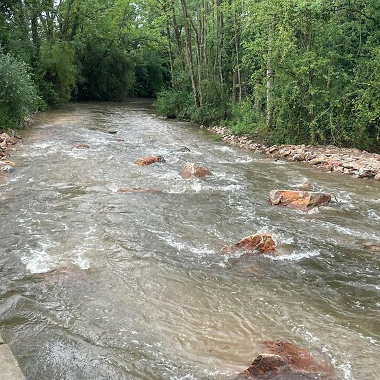 Fischtreppe am Praunheimer Wehr