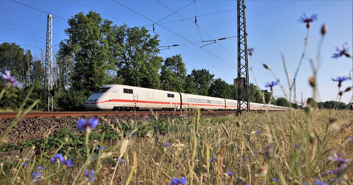 Der Bahn-Sommer im Überblick: 100 zusätzliche Fernverbindungen & Ticketangebote zu Schnäppchenpreisen