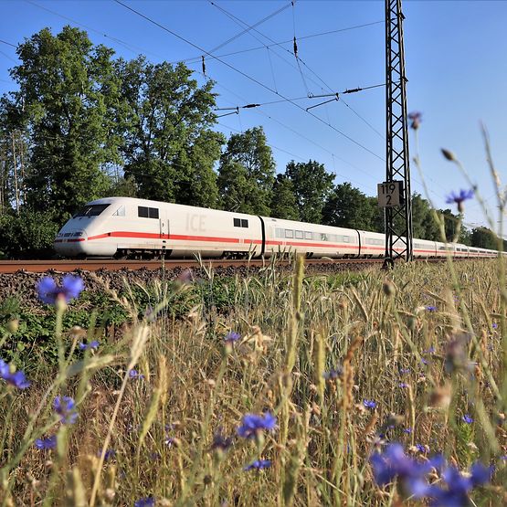 ICE 1 Baureihe 401 unterwegs in Westfalen