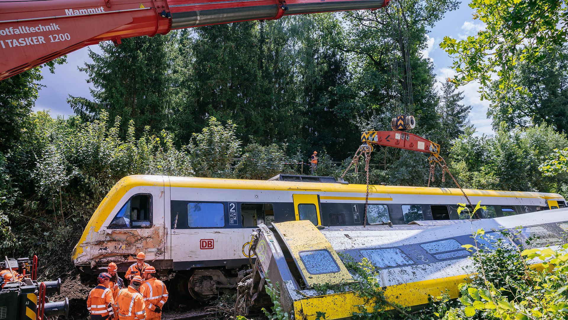 DB282561