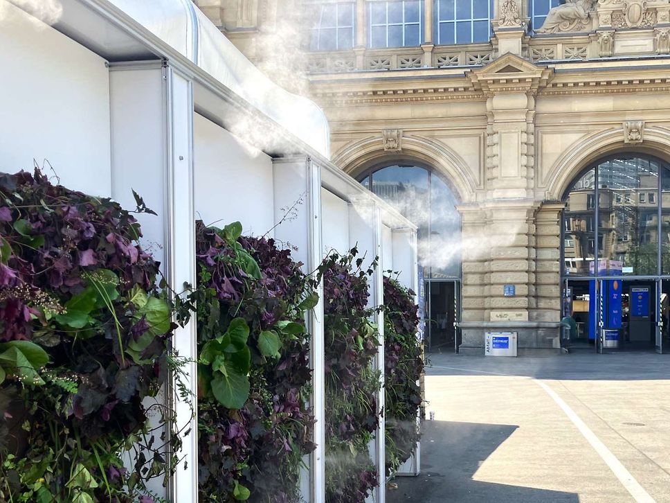 Eine Grünwand mit Pflanzen und einem integriertem Bewässerungssystem auf dem Vorplatz des Frankfurter Hauptbahnhof 