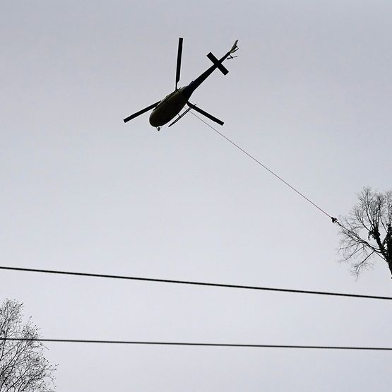 Helikopter transportiert Baum