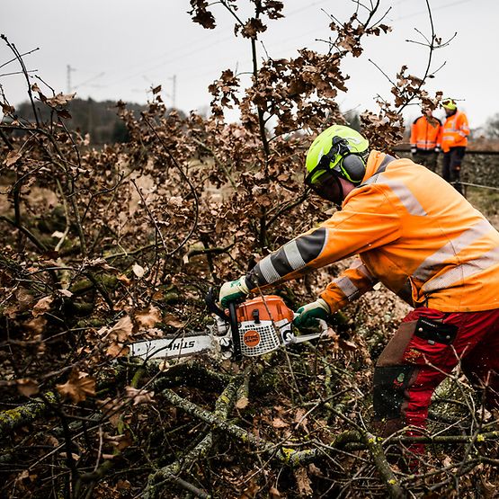 Vegetationsarbeiten im Umfeld von Gleisen