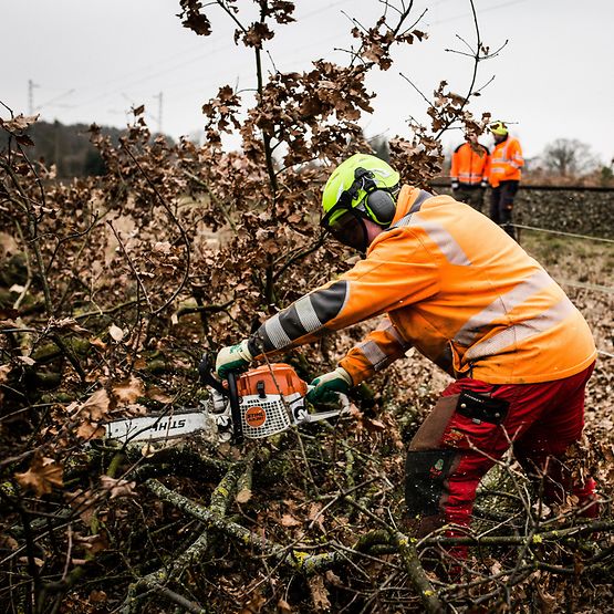 Rückschnittarbeiten