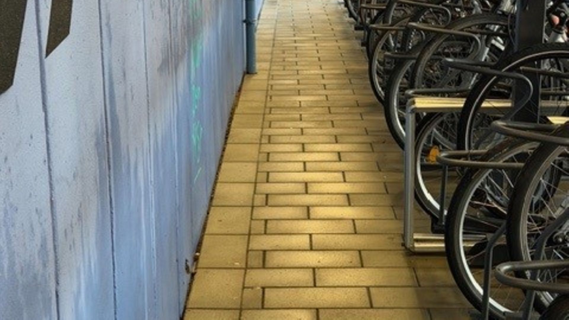 SauberStellingen 20