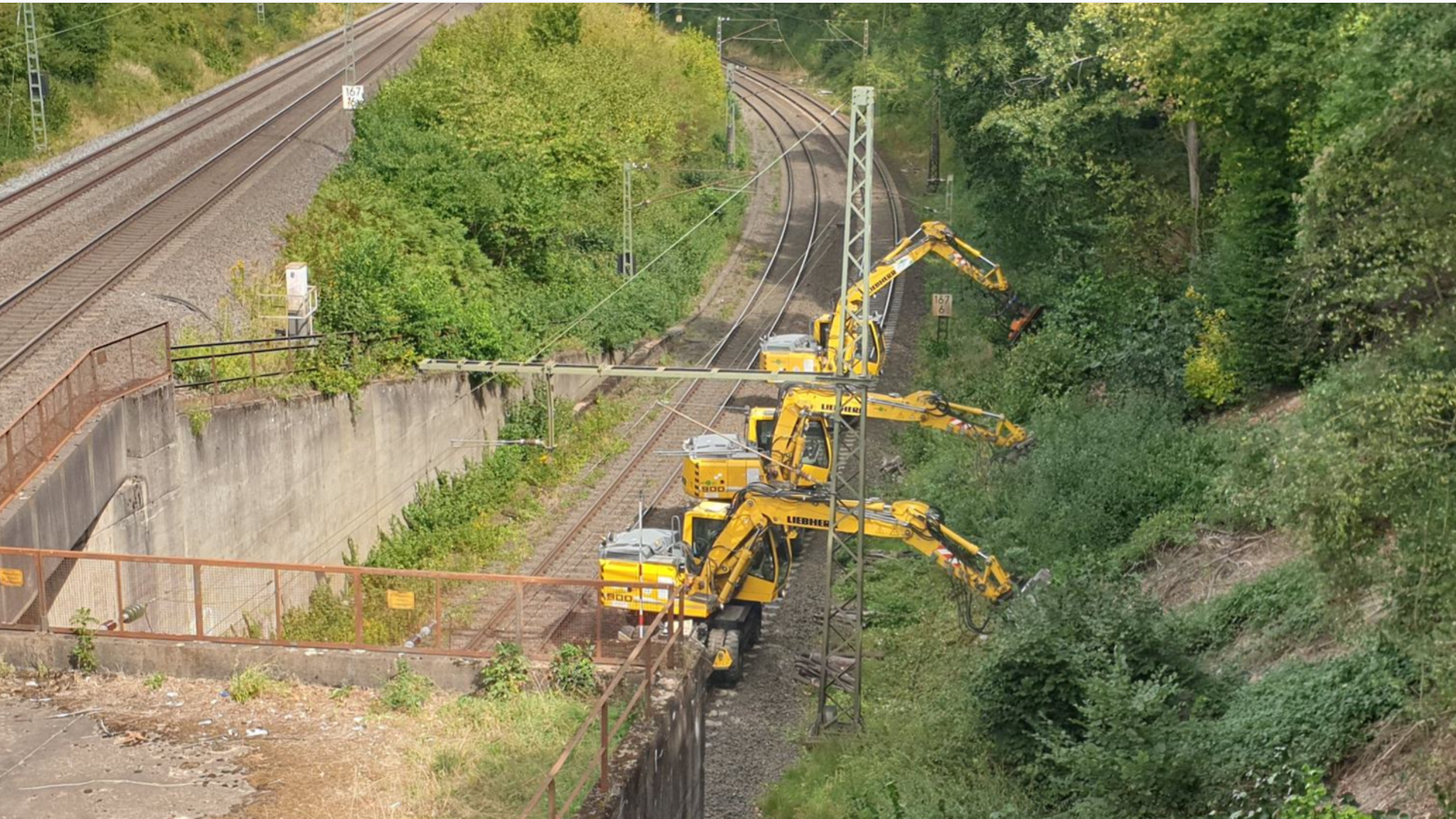 With the longfront excavator, we can also remove damaged trees individually without damaging the undergrowth.