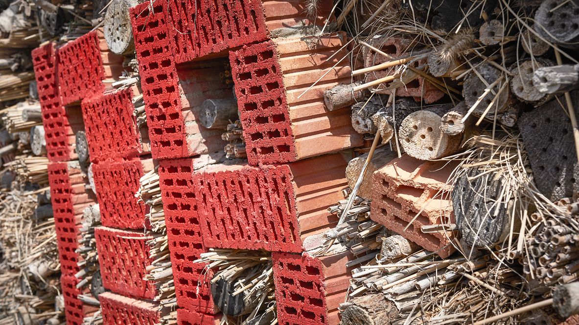 Nahaufnahme eines Insektenhotels aus roten Zieglsteinen, Ästen und Hölzern