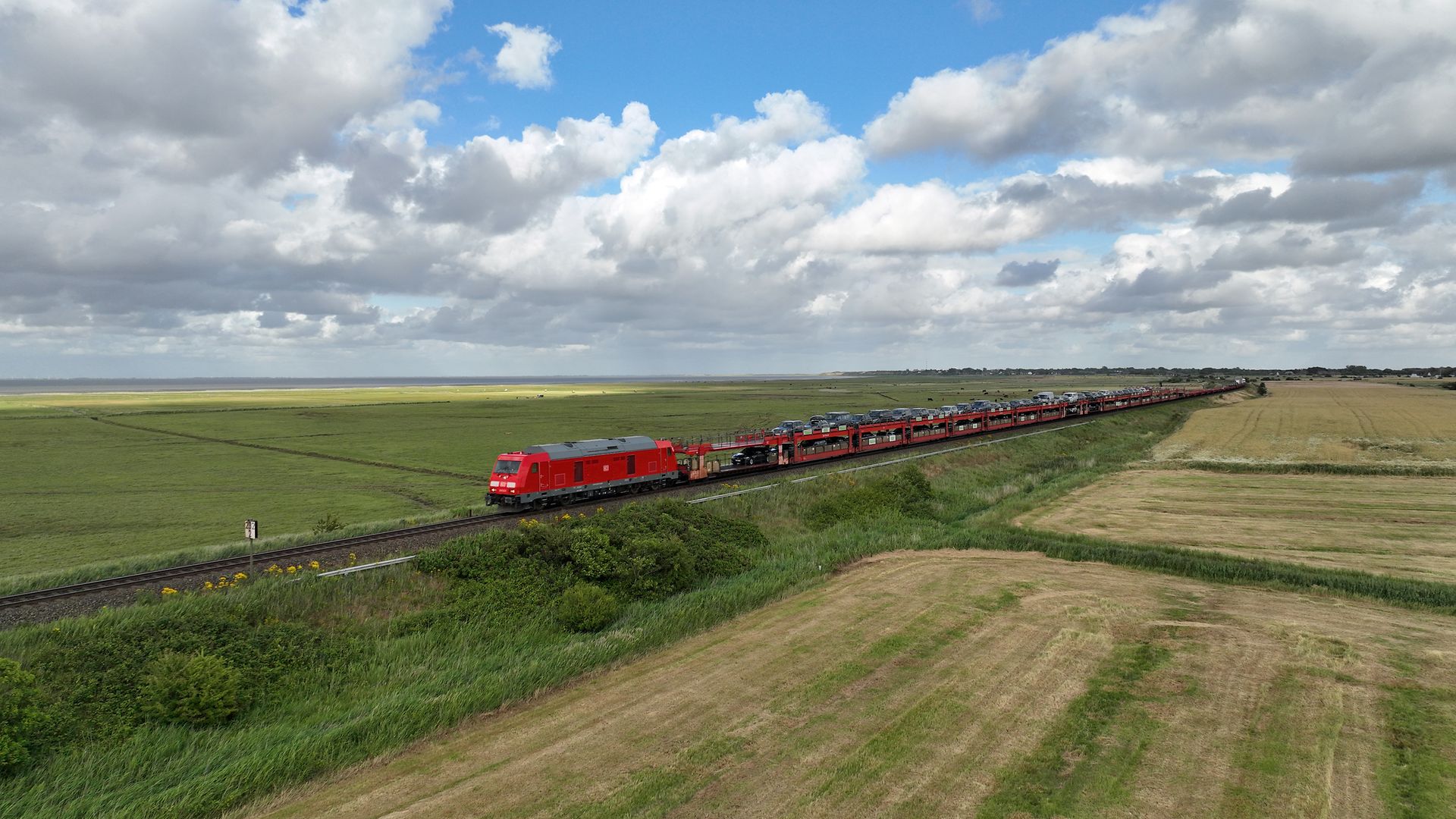 Sylt Shuttle fährt auf Schienen in grüner Landschaft.