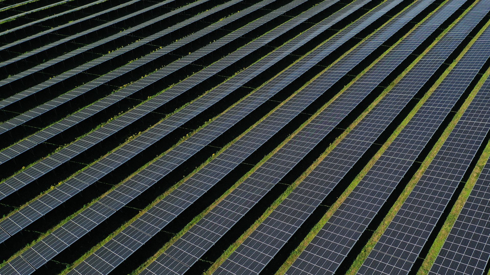 Bird's eye view from above of the black solar panels of the photovoltaic plant in Gaarz