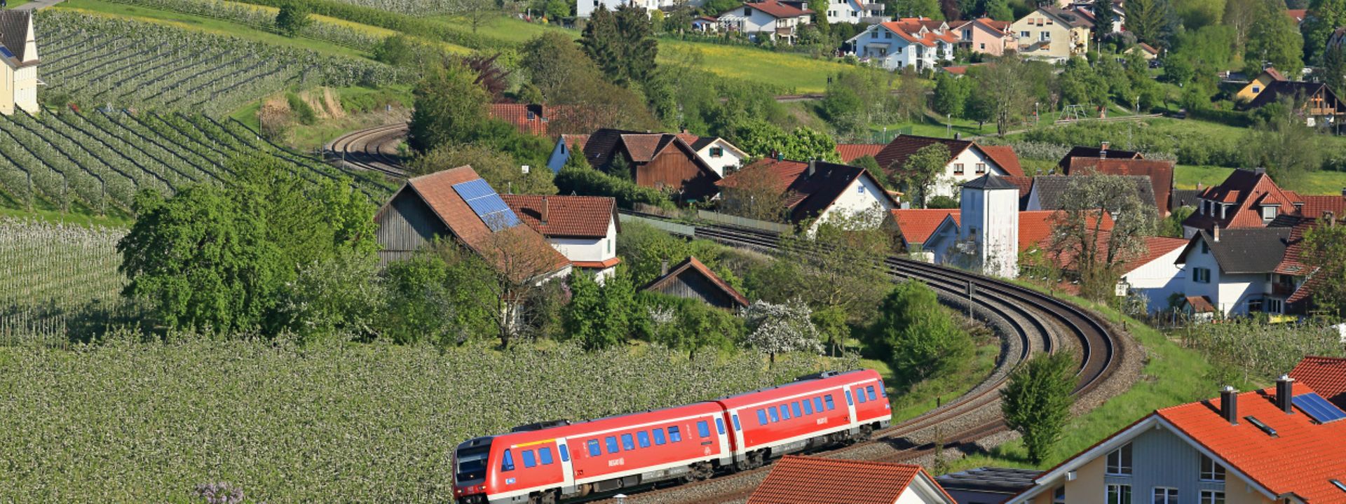 Bodensee