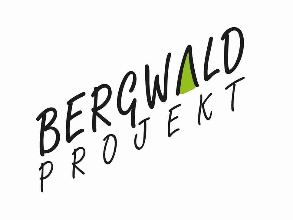 Bergwaldprojekt