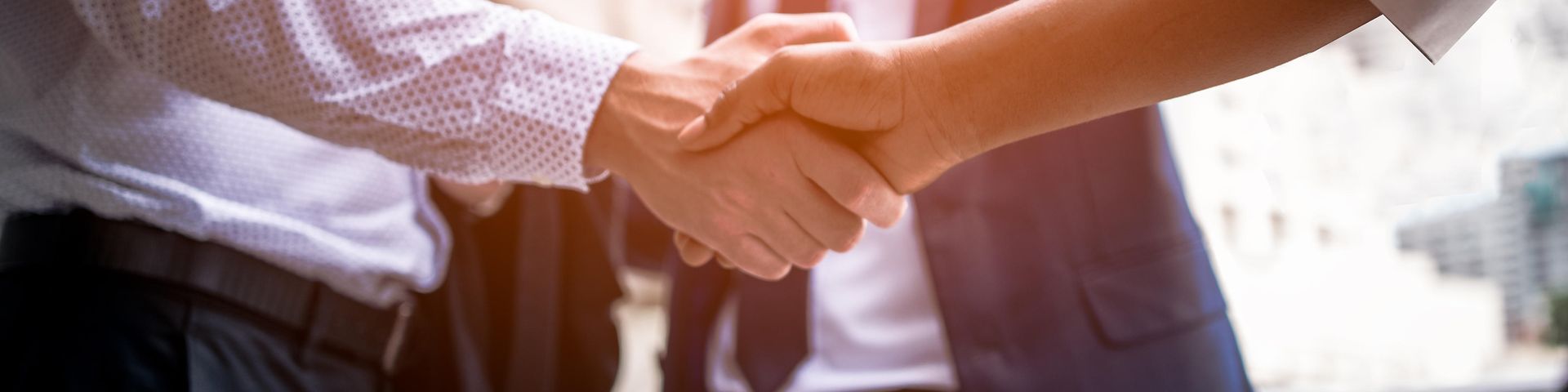 Ansprechpartner