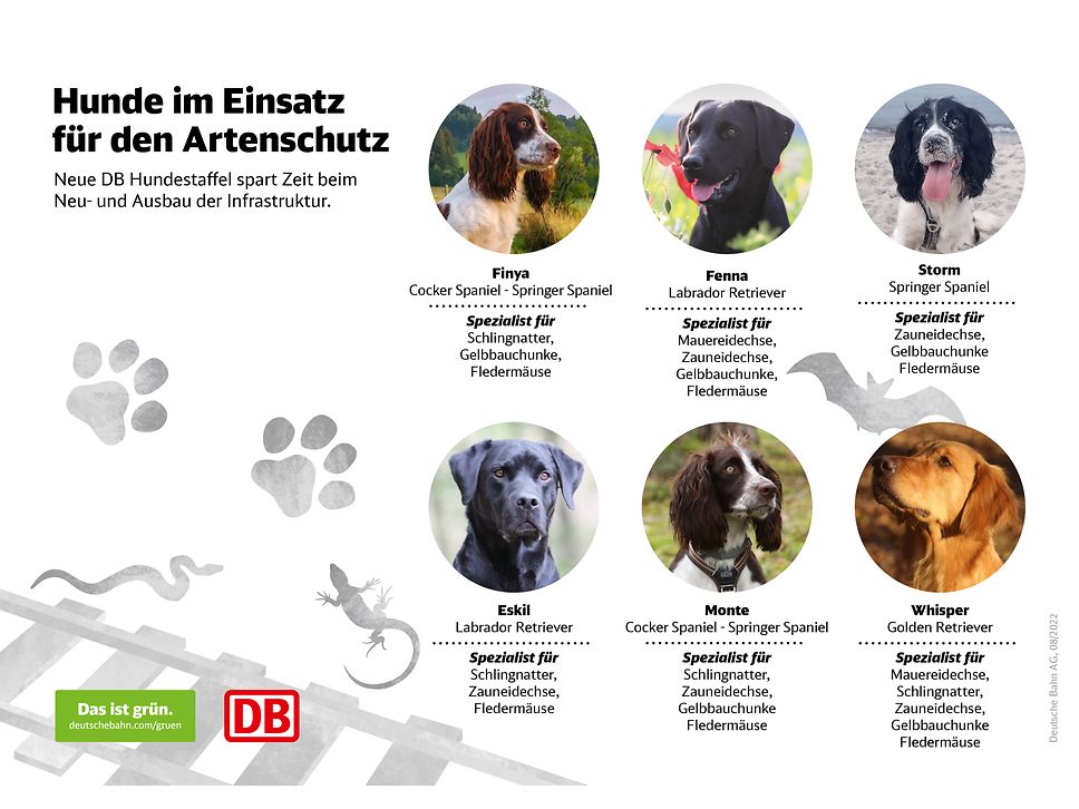 Quelle: Infografik: DB AG
