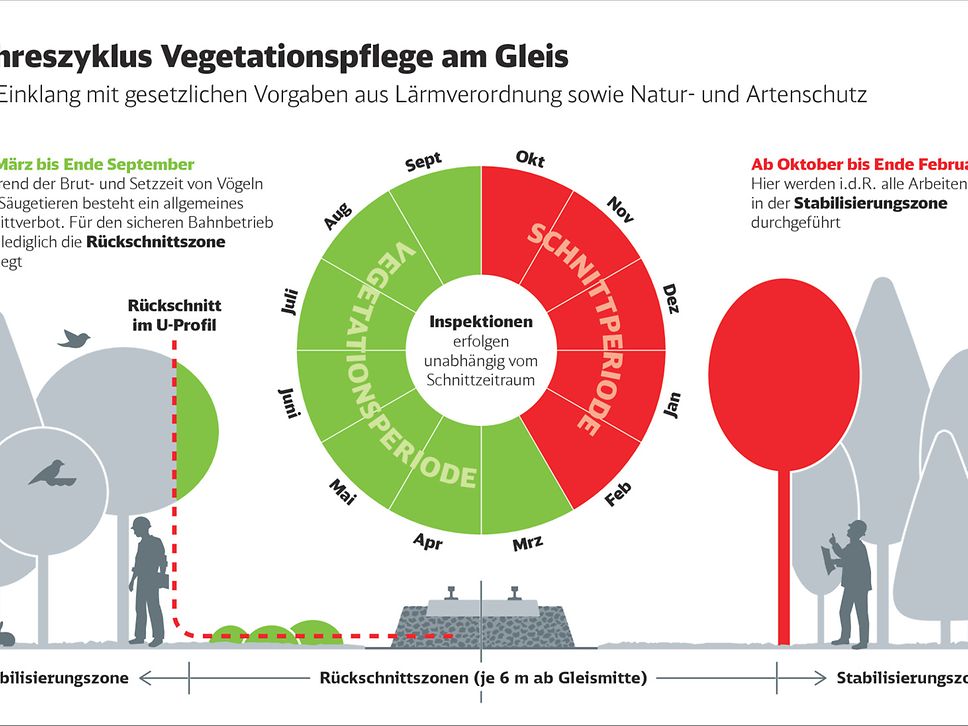 Infografik: Jahreszyklus Vegetationspflege am Gleis