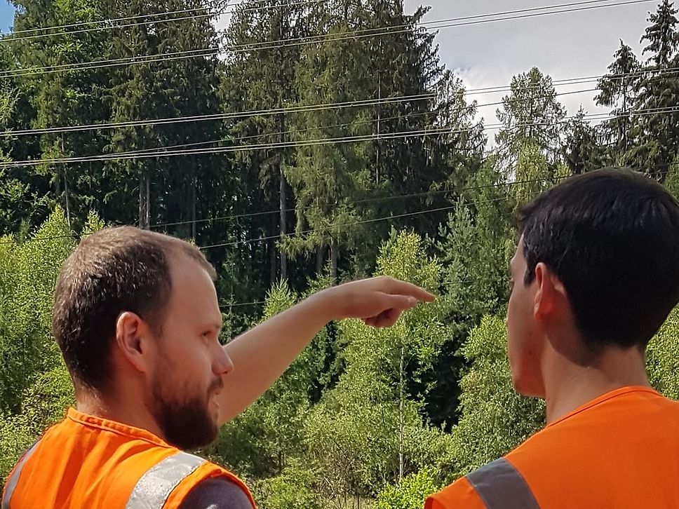 Quelle: Deutsche Bahn AG / Claudia Münchow Datencheck Satellitendaten zum Baumbestand