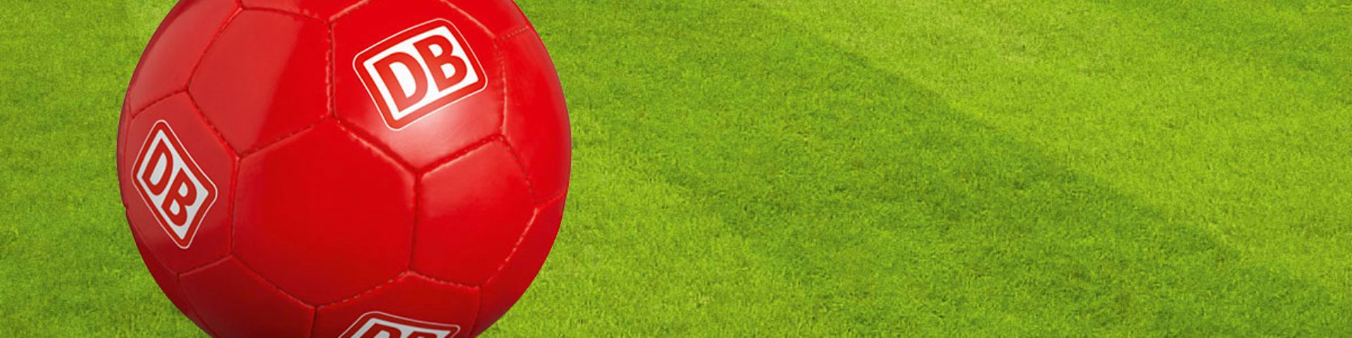 DB Fußball auf dem Rasen