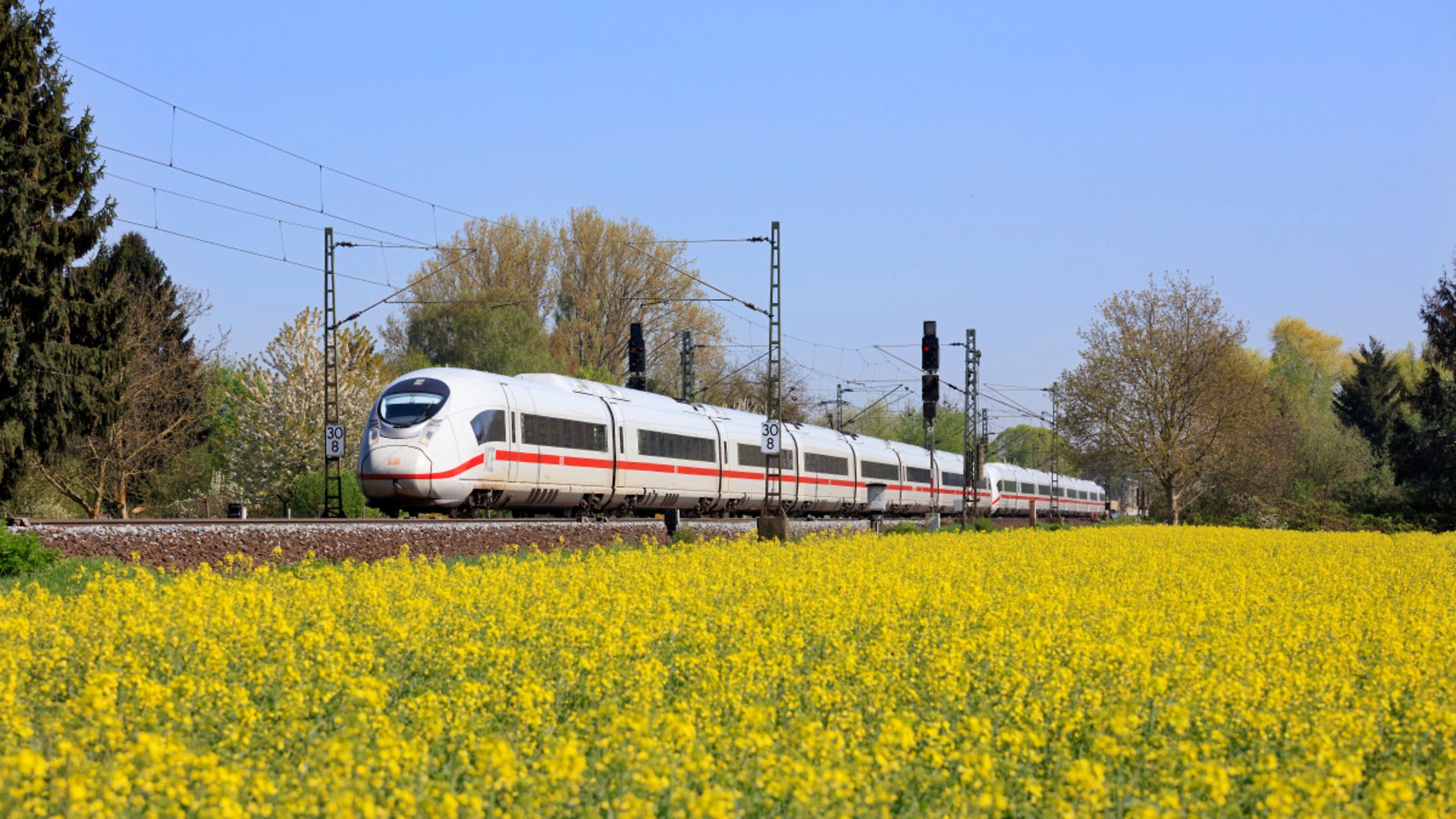 DB189421
