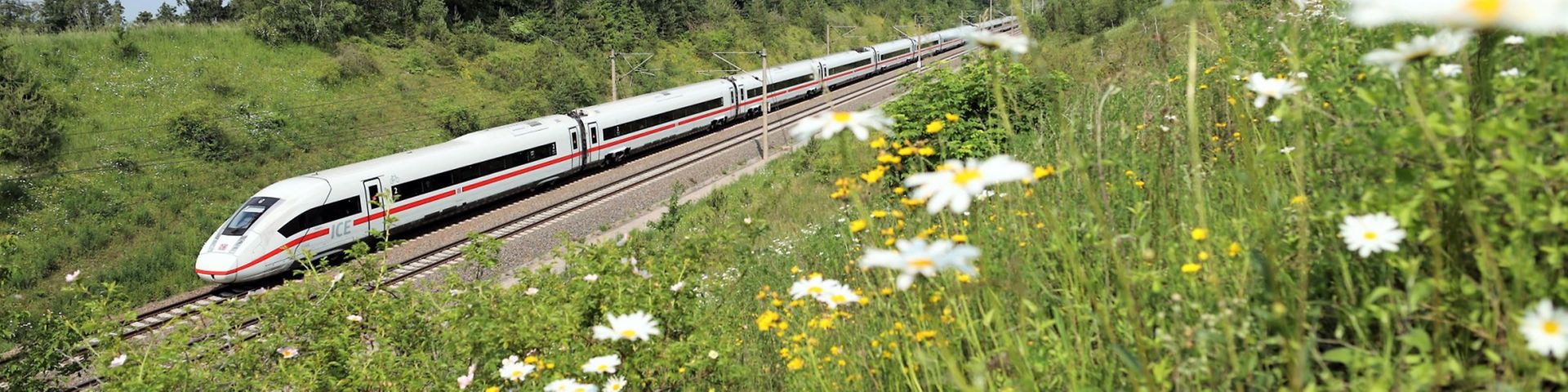 ICE 4 in Sommerlandschaft
